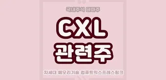 CXL 대장주 관련주 TOP5 총정리_21