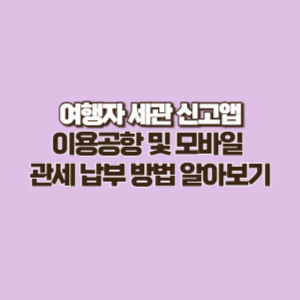 여행자 세관 신고 앱