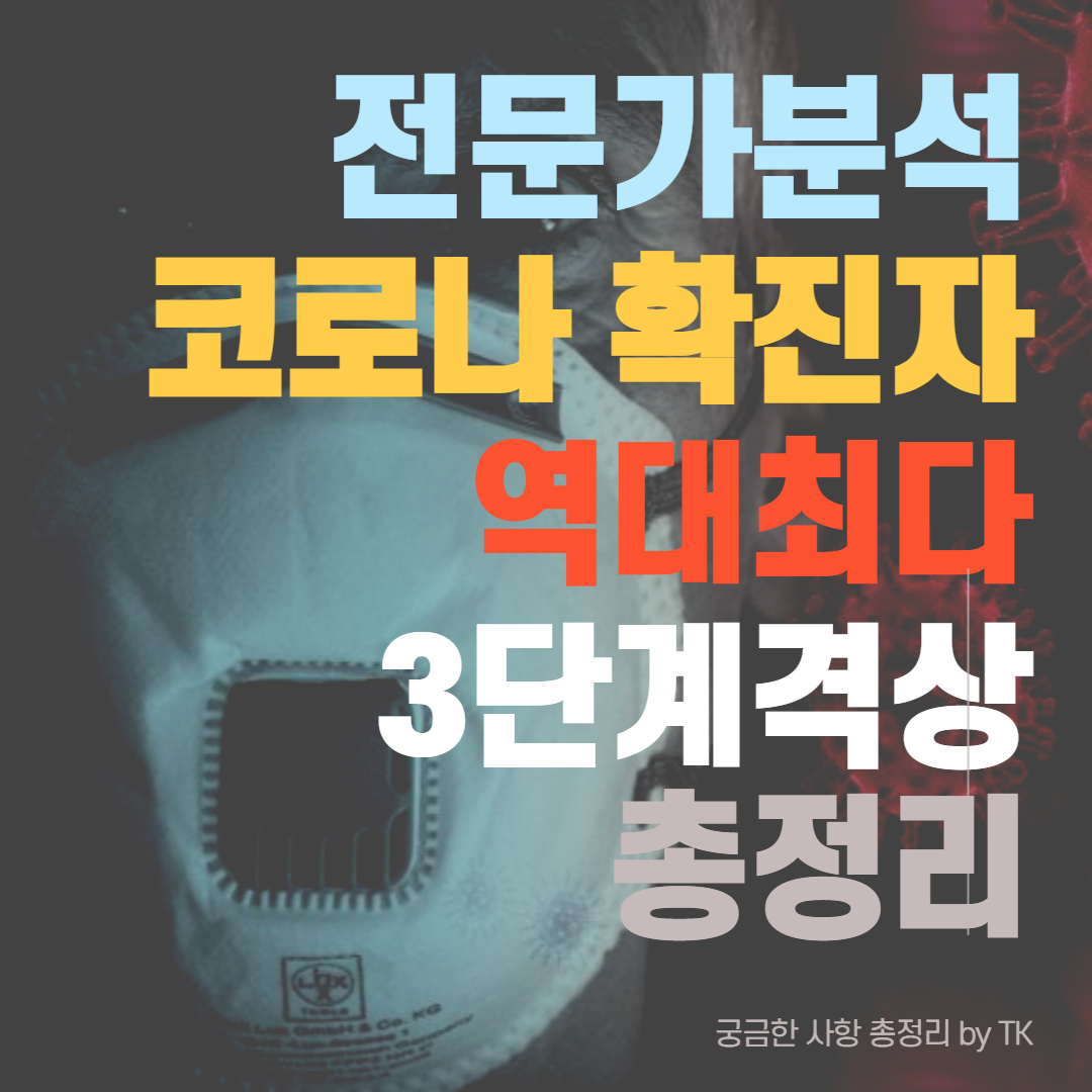  (분석) 코로나19 확진자 현황 - 역대최다! 3단계 격상 분석!