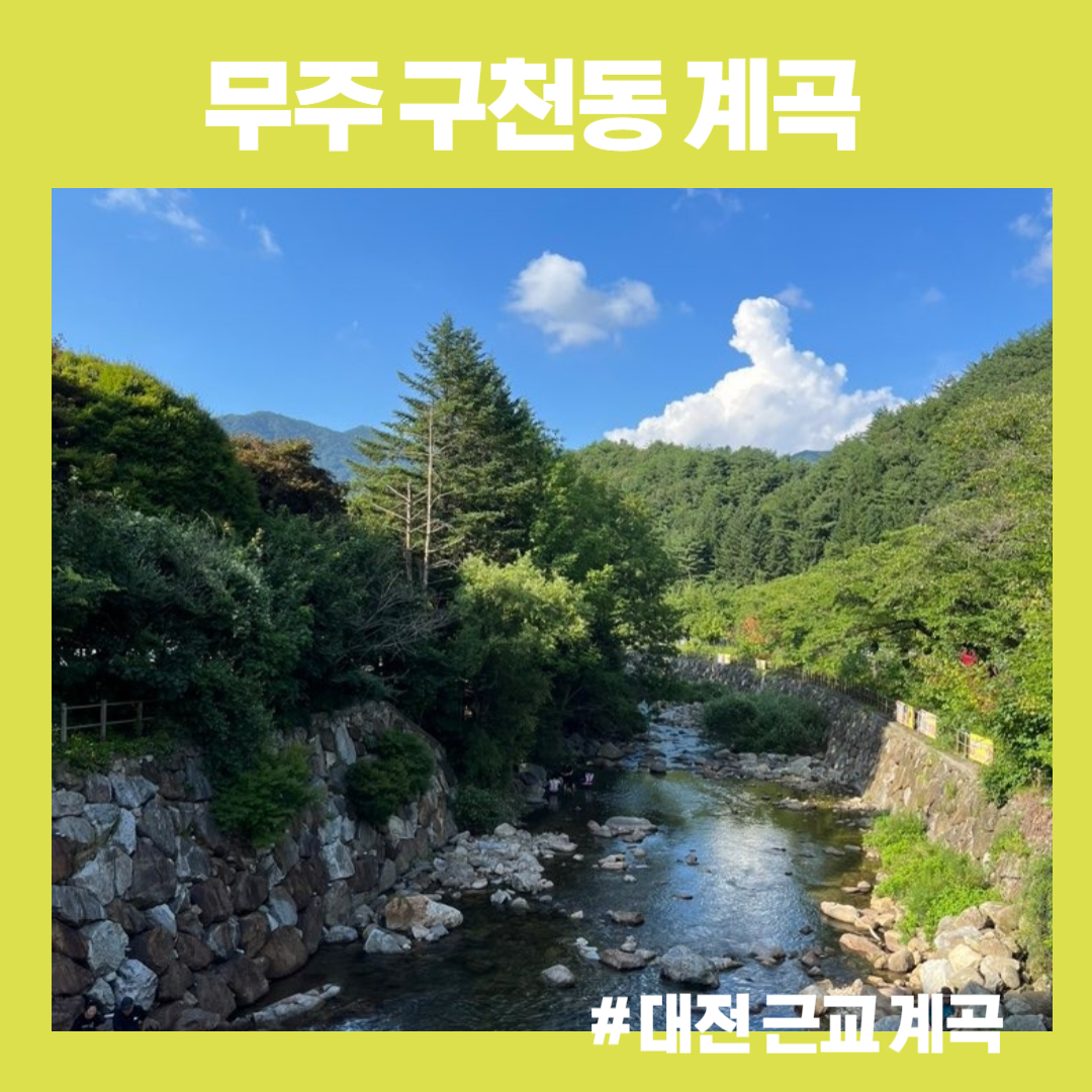  [아기랑 가볼만한 곳] 대전 근교 물이 깨끗한 무주 구천동 계곡