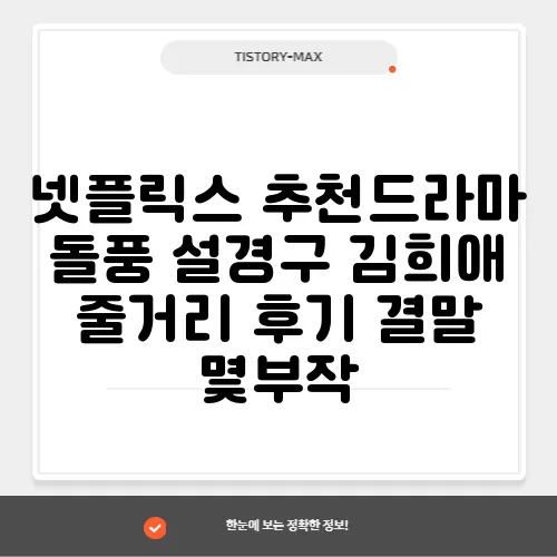 넷플릭스 추천드라마 돌풍 설경구 김희애 줄거리 후기 결말 몇부작