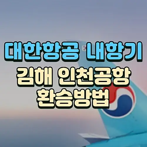 김해공항에서-인천공항-대한항공-환승-전용-내항기