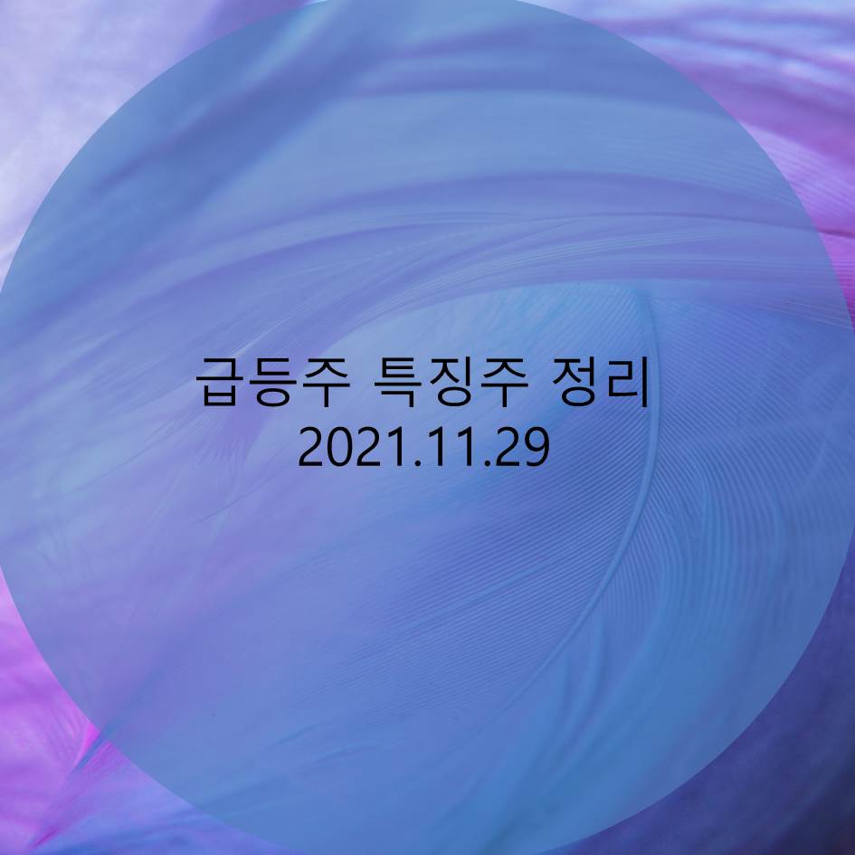 급등주 특징주 정리 2021.11.29