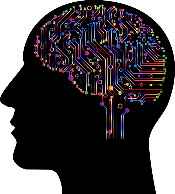 뇌, brain, AI, 인공지능