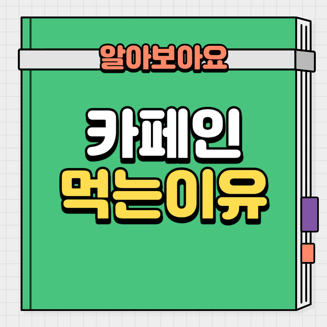  운동할때 카페인을 먹어야 하는 이유