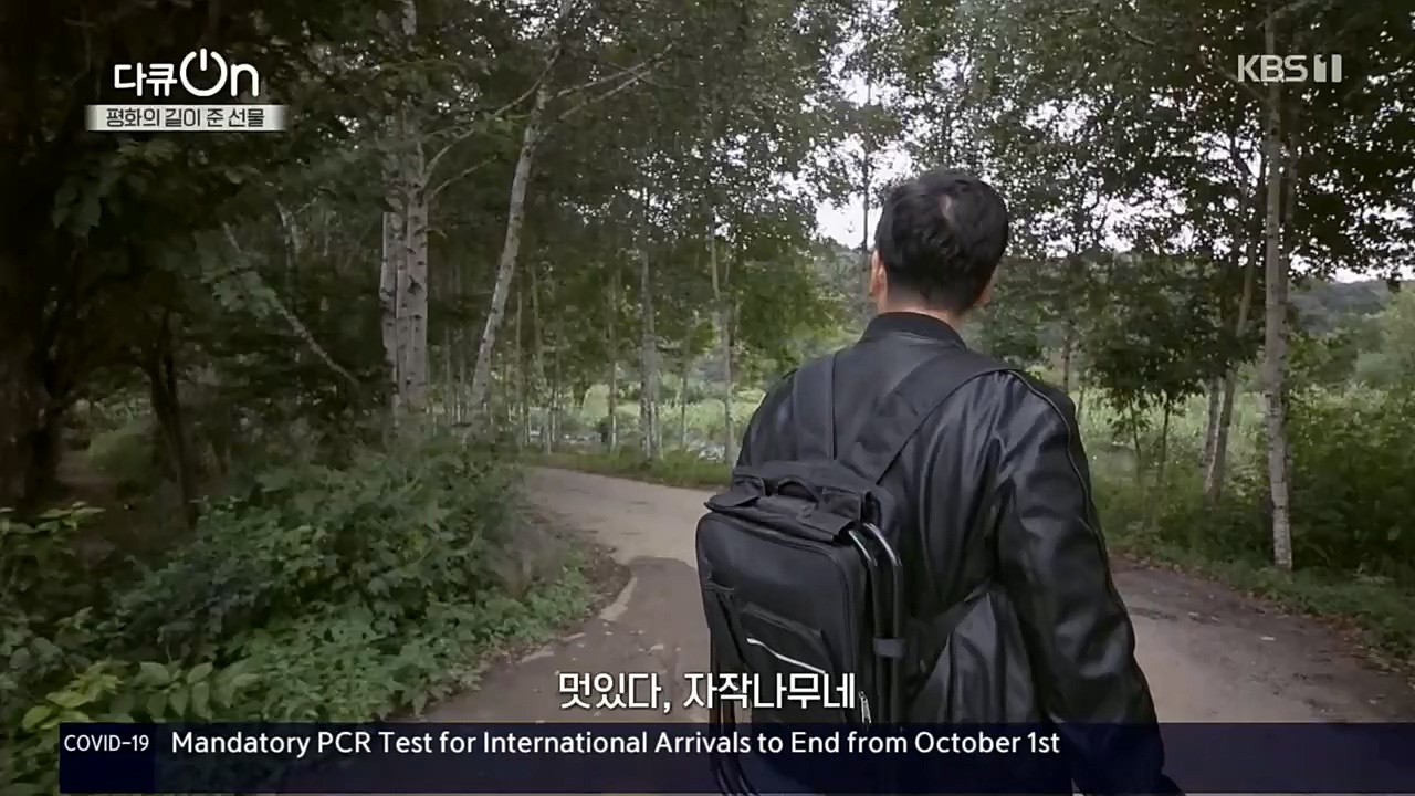 다큐 On.E172.221119p.H264

-F1RST.mp4_20221122_201820.421.jpg