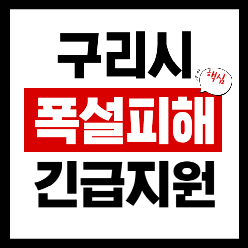 구리시 폭설피해 긴급보상지원금