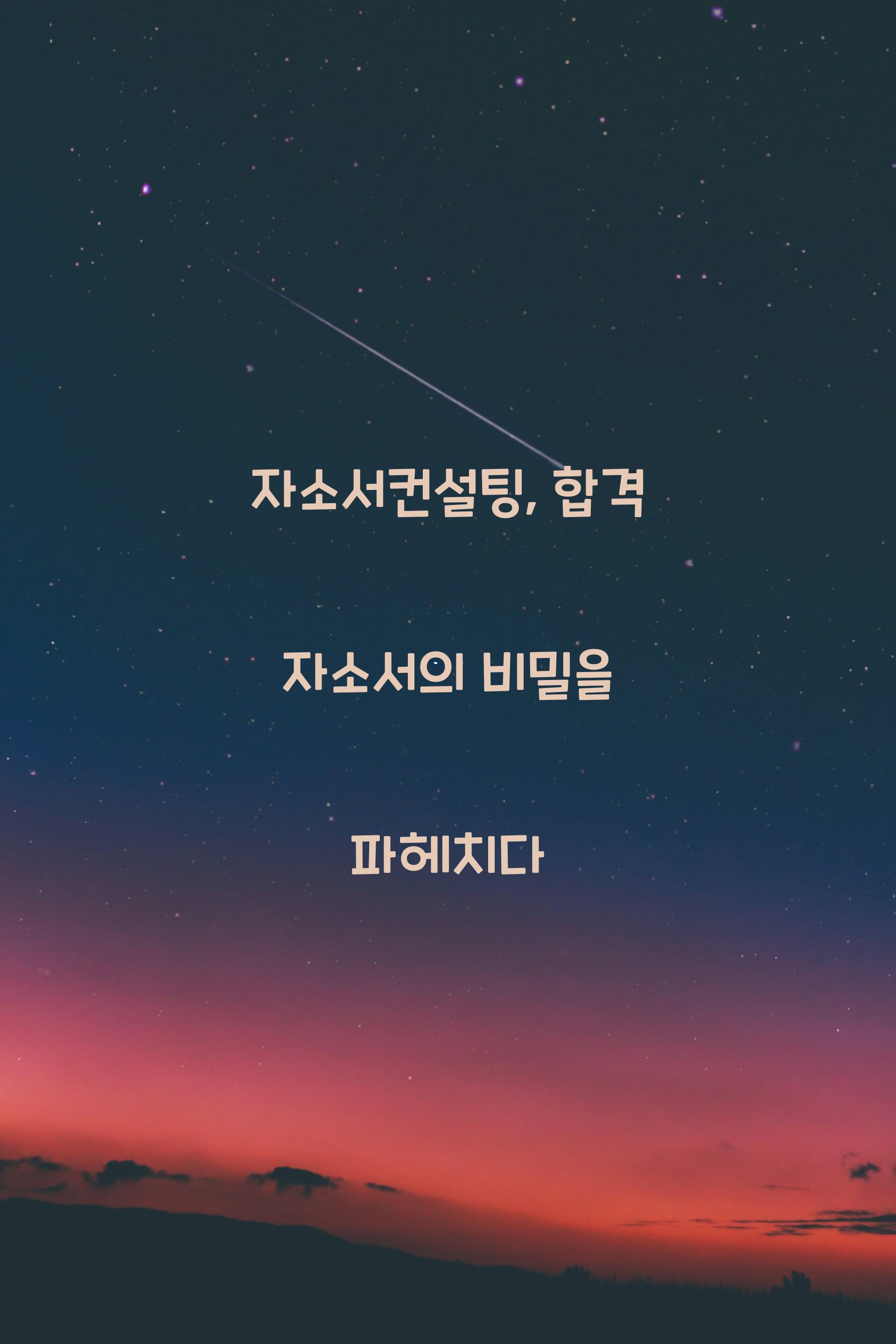 자소서컨설팅