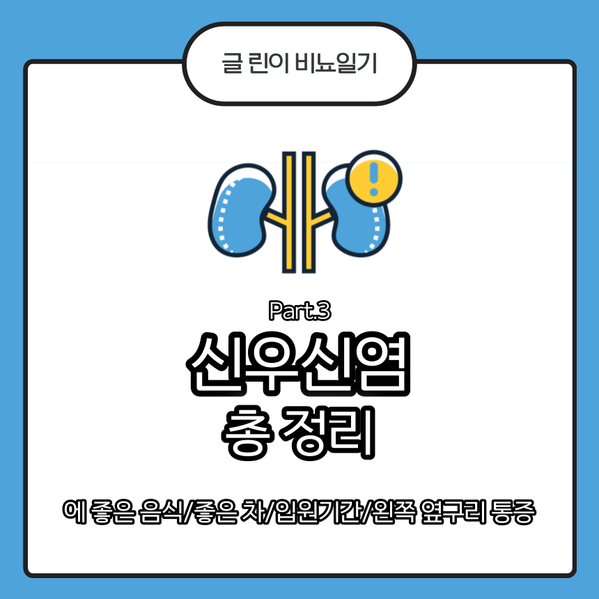  신우신염 총 정리 Part.3 : 에 좋은 음식/좋은 차/입원기간/왼쪽 옆구리 통증