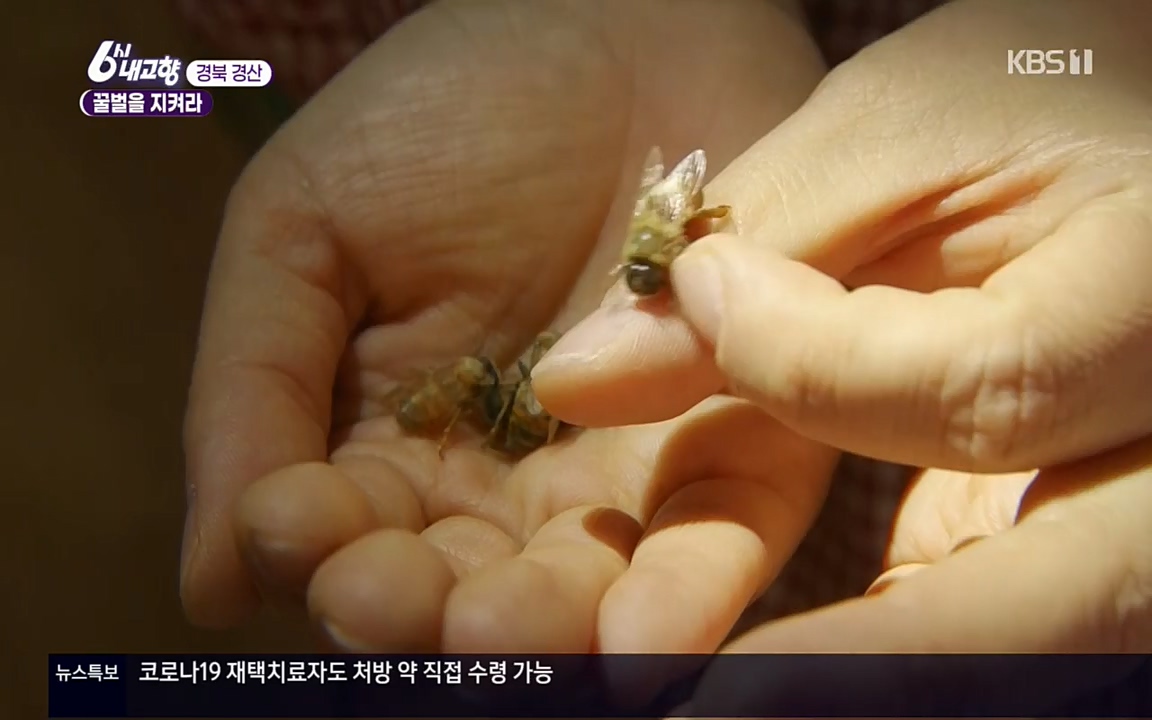 6시 내고향.E7508.220412p.H264-F1RST.mp4_20220417_192501.290.jpg
