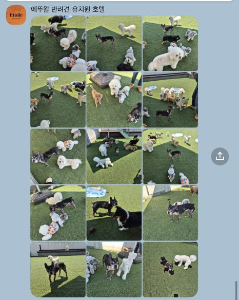 에뚜왈 이미지
