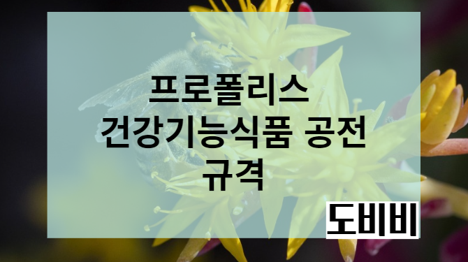 프로폴리스 건강기능식품 공정