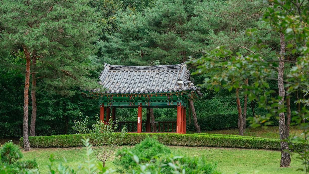 홍천 수타사 공작산 생태숲