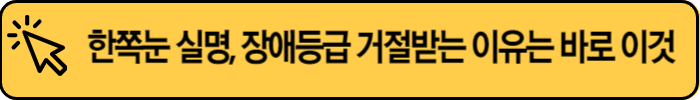 한쪽눈-실명-장애등급-불인정-사유 (3)