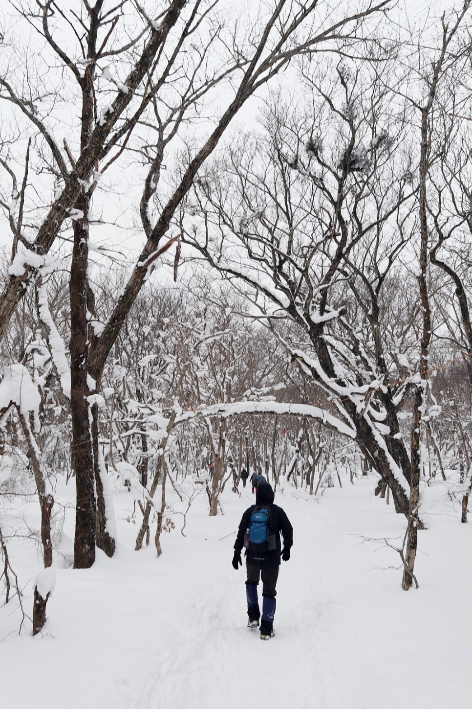 눈쌓인 겨울산 이미지 22
