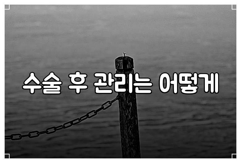 수술 후 관리는 어떻게