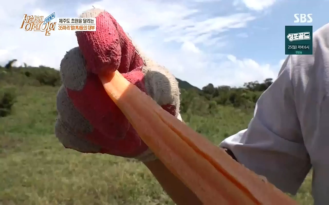 순간포착 세상에 이런일이.E1198.220920.H265p-BULDU.mp4_20220921_201956.414.jpg