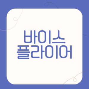 바이스-플라이어에-대하여