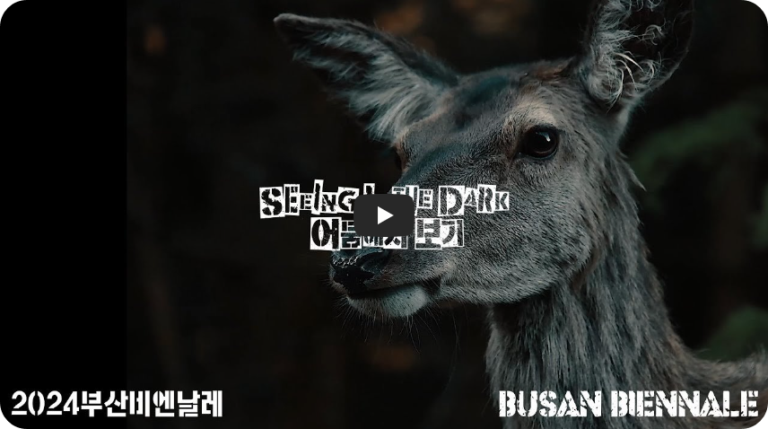 2024 부산비엔날레 스팟영상 '어둠에서 보기(Seeing in the Dark)'