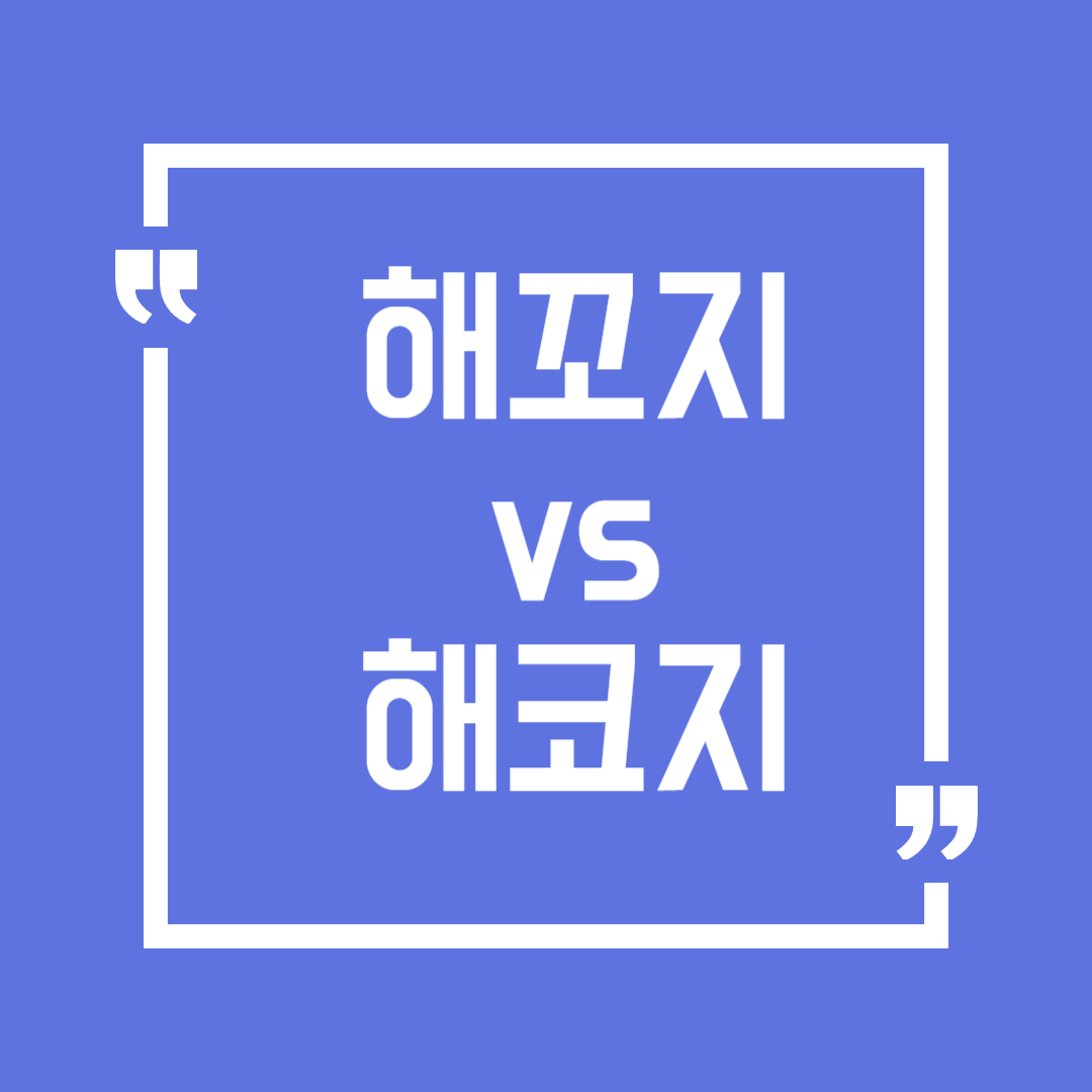 해꼬지 vs 해코지