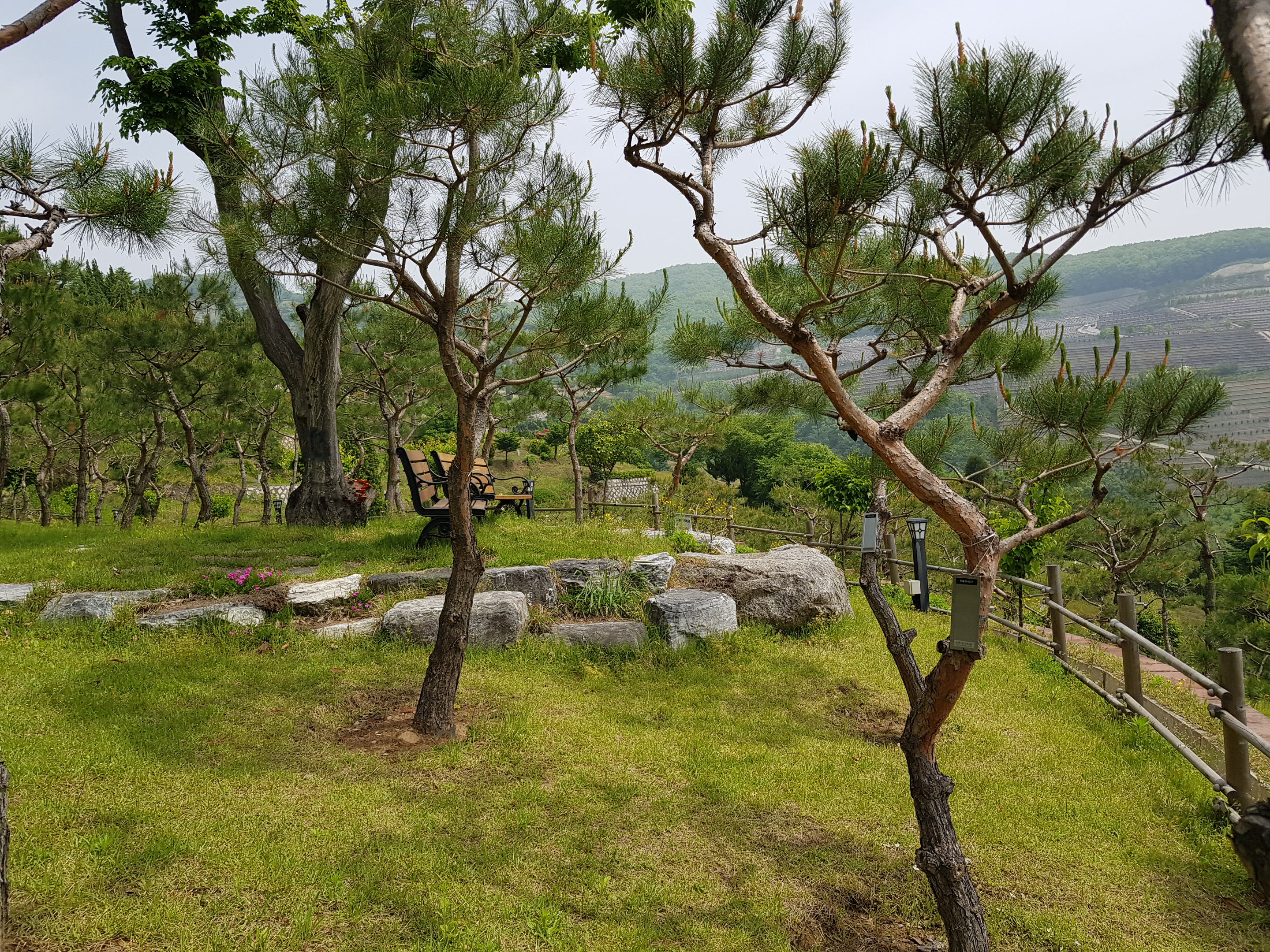 분당수목장 이미지