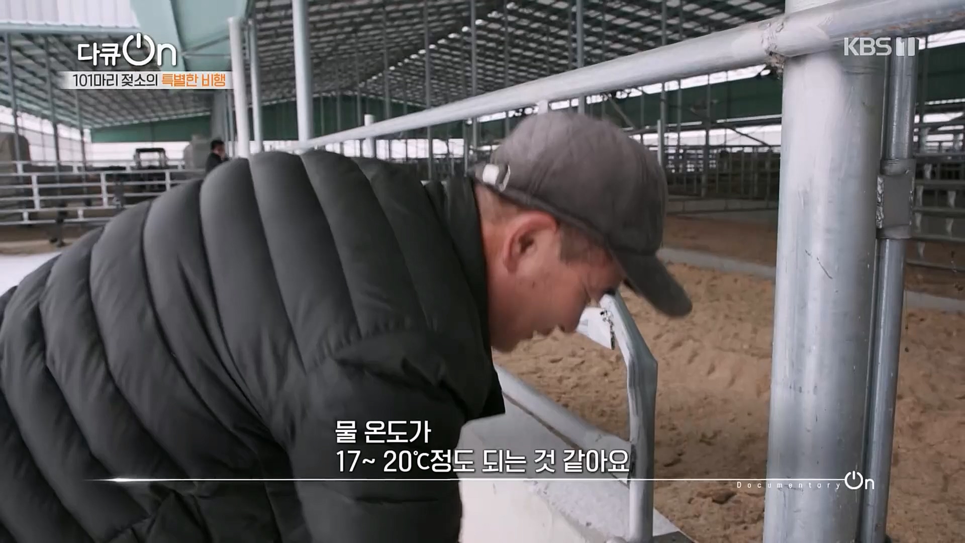 다큐 On.E184.230203p.H264-F1RST.mp4_20230211_175634.912.jpg