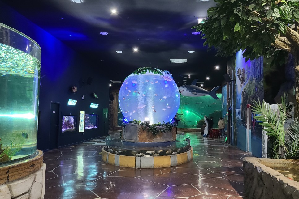 부천 아쿠아리움 부천 아쿠아리움먹이주기 체험 40