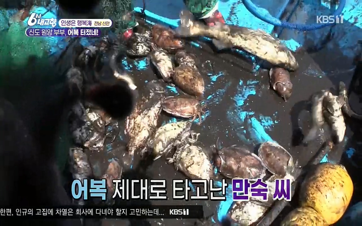 6시 내고향.E7518.220426p.H264-F1RST.mp4_20220504_192403.166.jpg