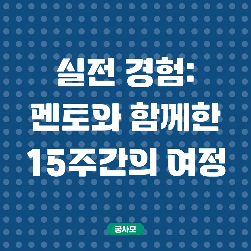 청소년지도사 자격증 취득_3