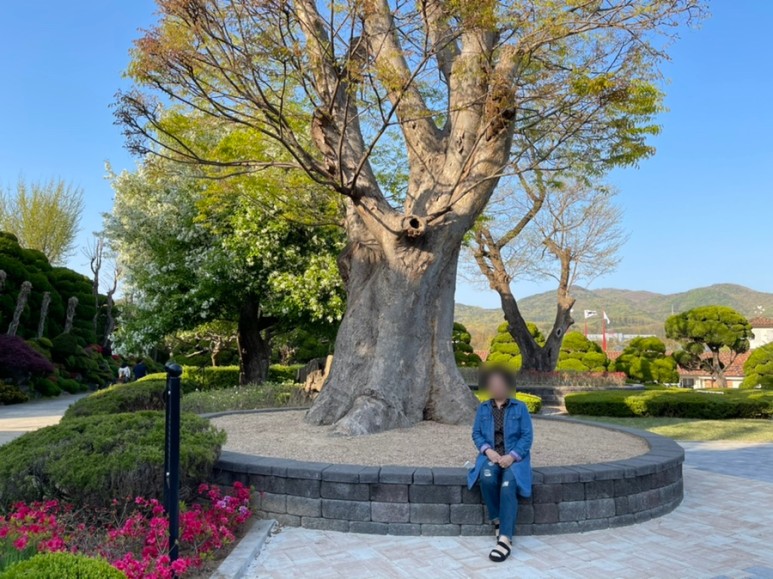 세종 가볼만한곳세종 가볼만한곳베어트리파크 15