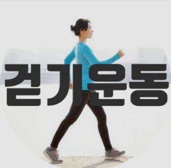  걷기 운동 칼로리 효과