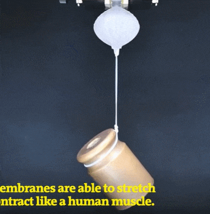 자신 보다 1000배 무거운 물체를 들어 올리는 로봇 손 VIDEO:These artificial muscles can lift up to 1000 times their own weigh