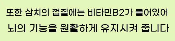  또한 삼치의 껍질에는 비타민B2가 들어있어 뇌의 기능을 원활하게 유지시켜 줍니다
