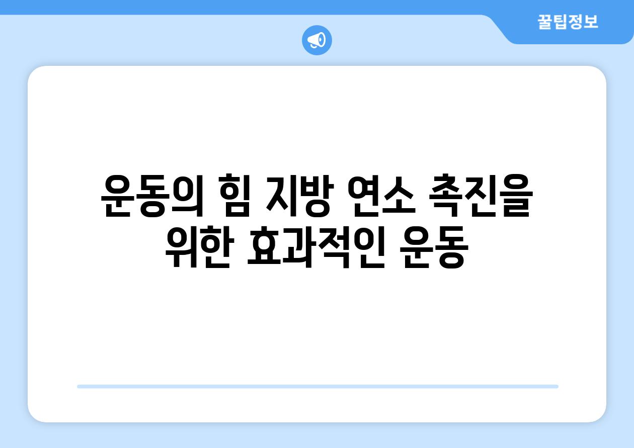 운동의 힘 지방 연소 촉진을 위한 효과적인 운동