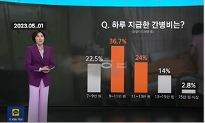 고령화 시대의 간병비 부담