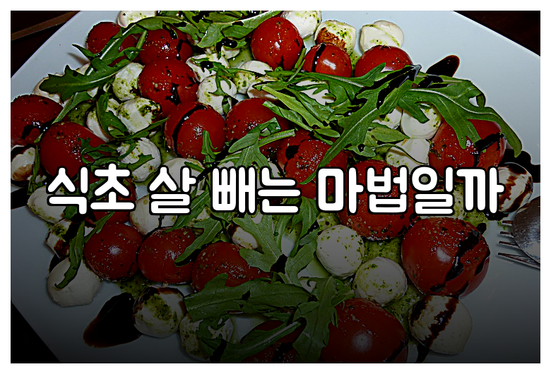 식초 살 빼는 마법일까