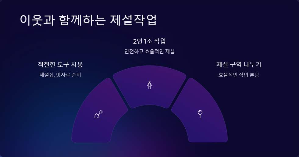 폭설 사태 긴급 대처법
