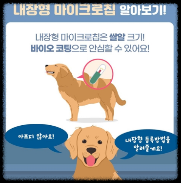 내장형 마이크로칩 알아보기