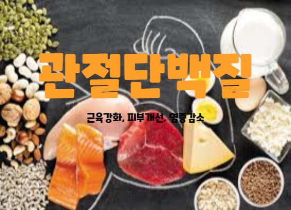 관절단백질