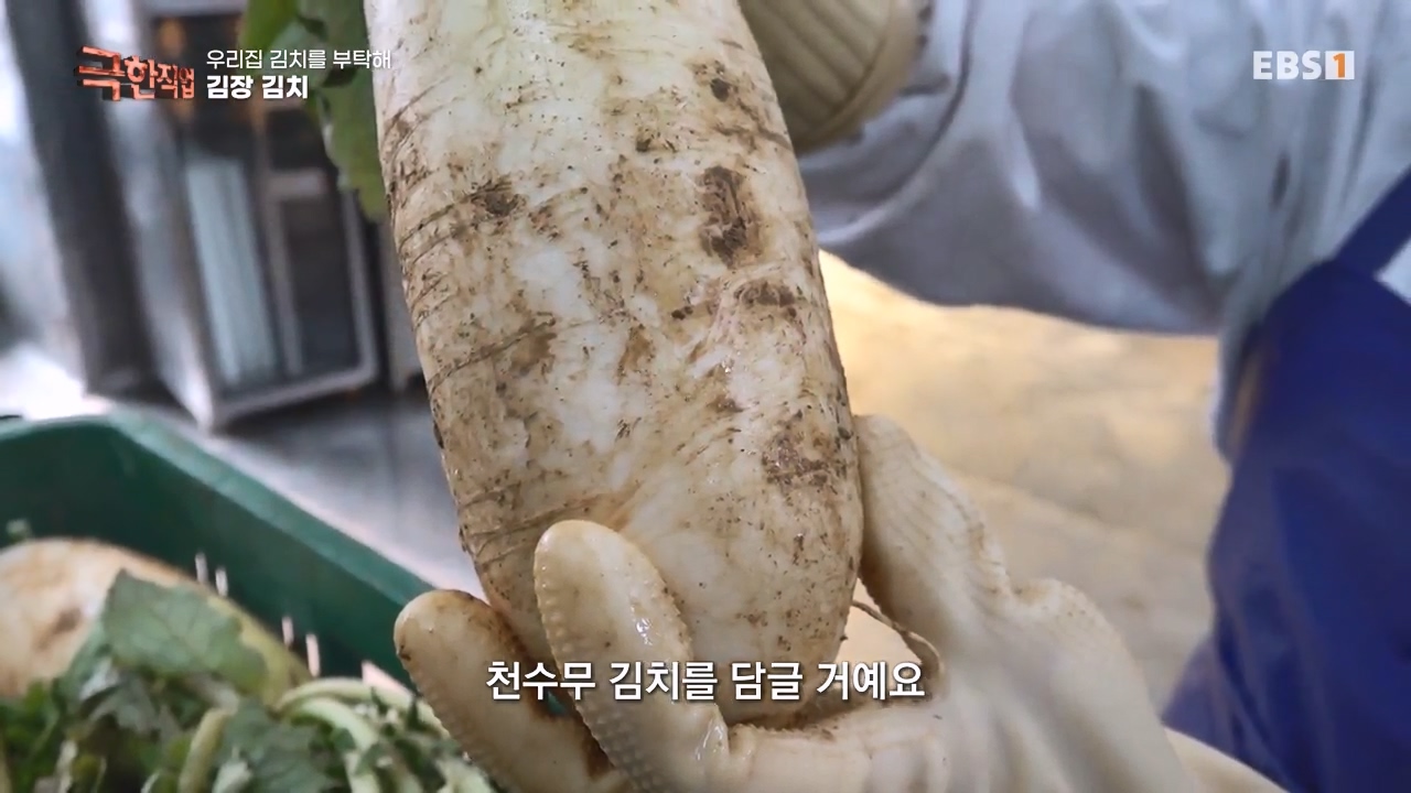 TV - 전 국민의 평생학교 EBS우리 집 김치를 부탁해.mp4_20231228_200207.509.jpg