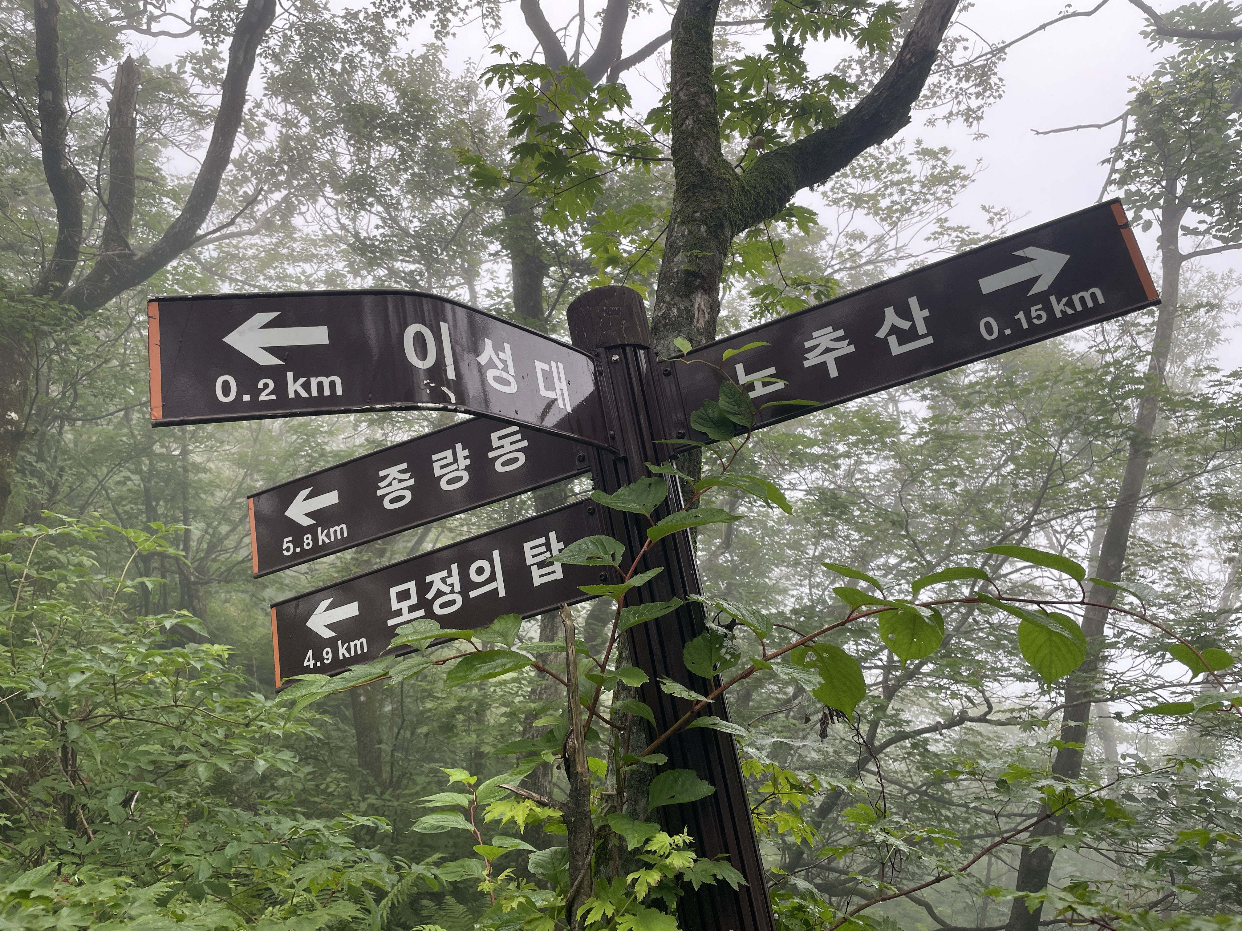 노추산 정상 경관 이미지