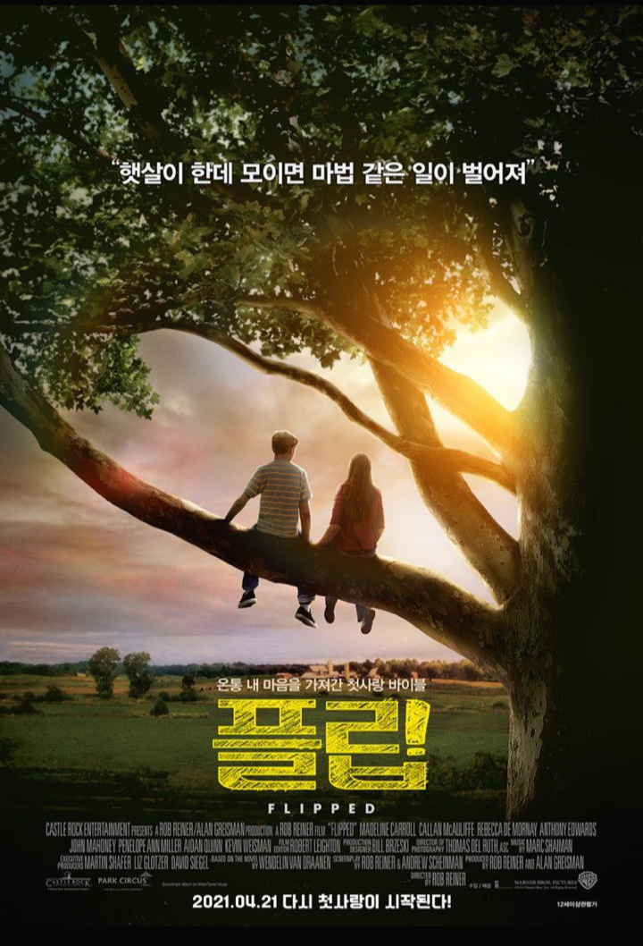 영화 플립, 풋풋한 첫사랑의 옷을 입은  따뜻한 가족 이야기