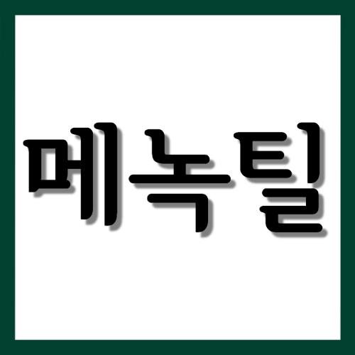  메녹틸정, 효능과 주의사항 자세히 알아보기