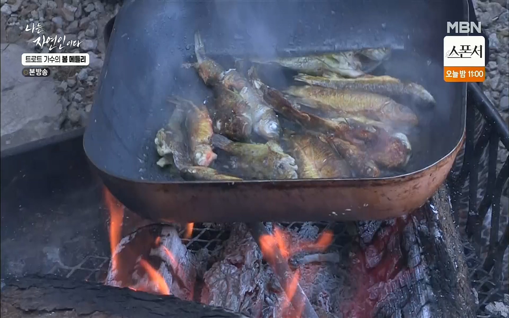 나는 자연인이다.E494.220323p.H264-F1RST.mp4_20220324_183852.944.jpg