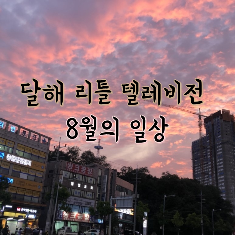  [달해 리틀 텔레비전] 달해의 일상 "8월 편"