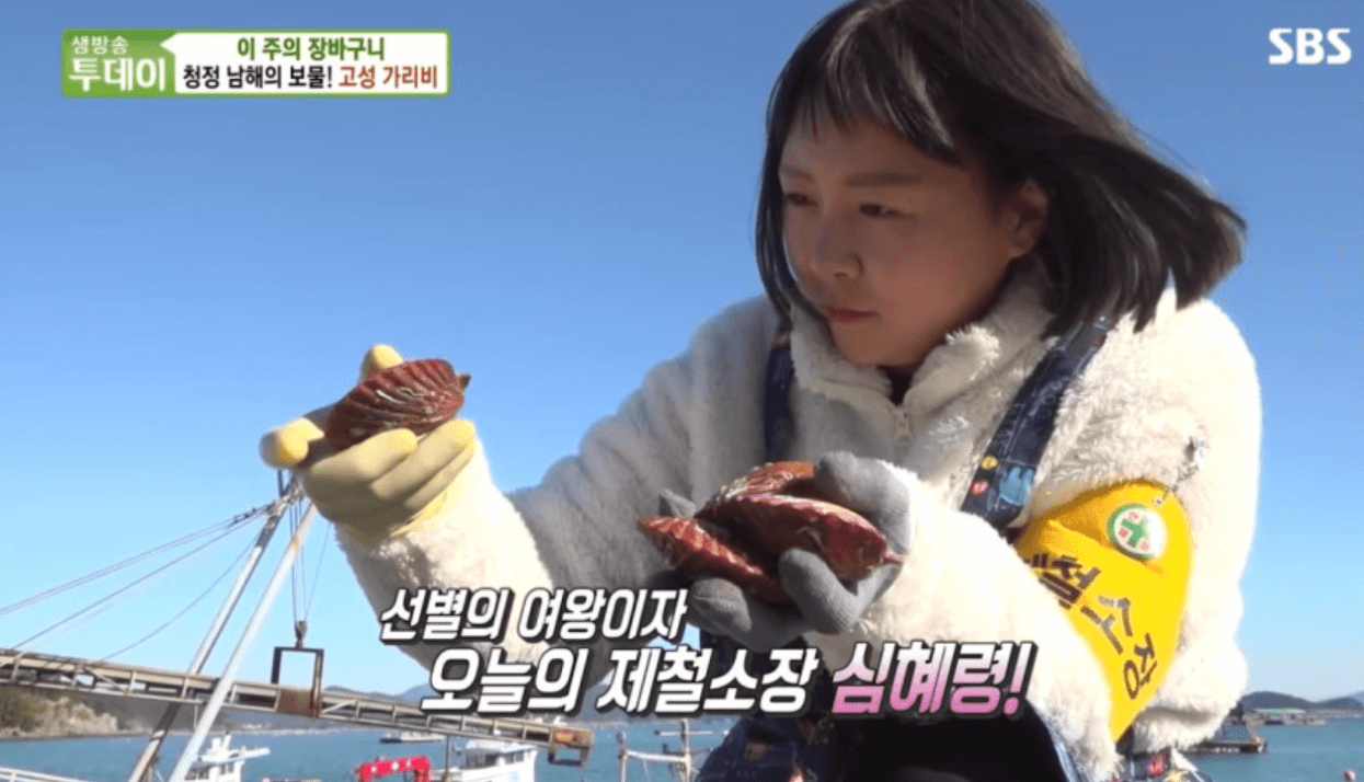 KBS 생생정보 (2025년 2월20일) 고성 가리비 맛집 :