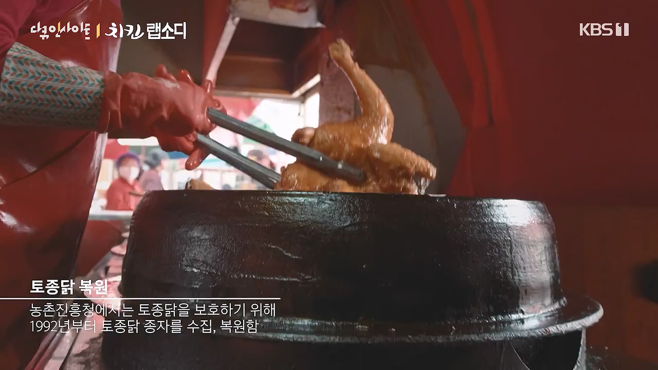 다큐 인사이트.E191.240532p-NEXT.mp4_20240601_163426.575.jpg