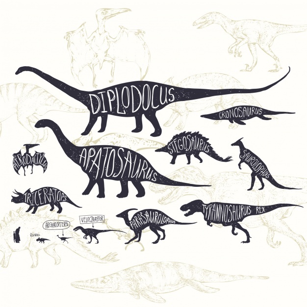공룡의 종류