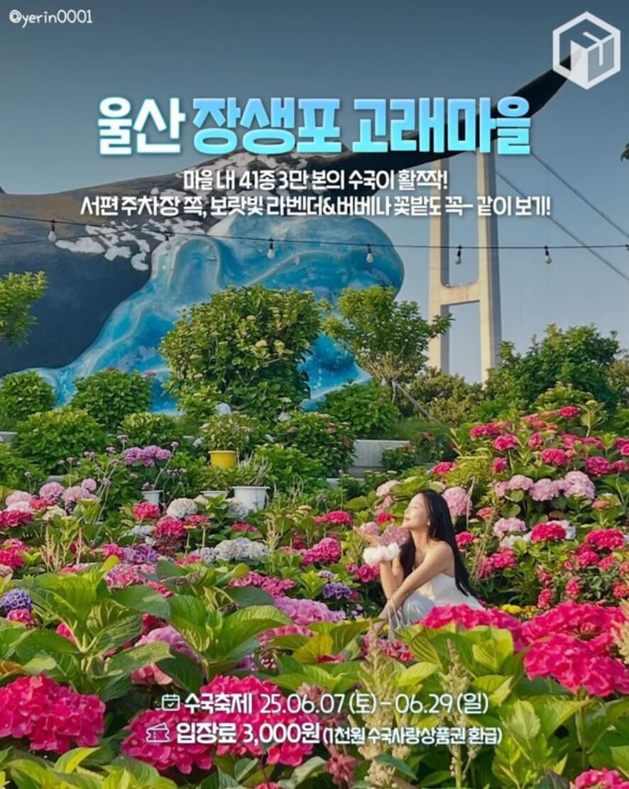울산장생포고래마을