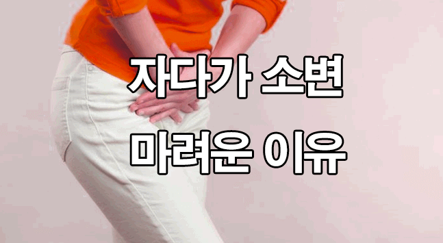  자다가 소변 자주 마려운 이유 : 빈뇨, 야간뇨